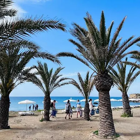 Pura Vida Santa Pola